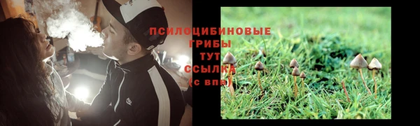 скорость Семёнов