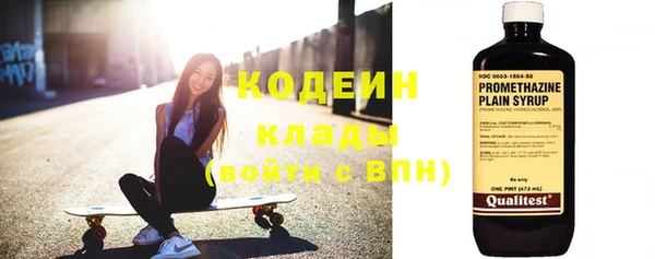 шишки Саяногорск