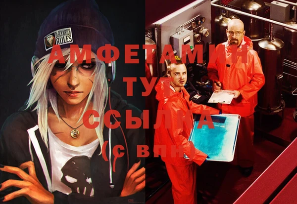 шишки Саяногорск