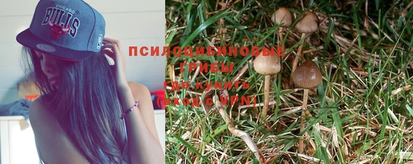 прущая мука Сафоново