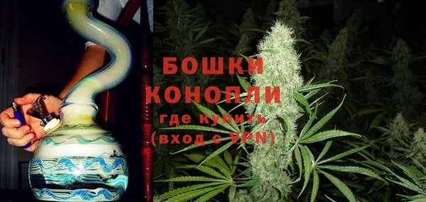 шишки Саяногорск