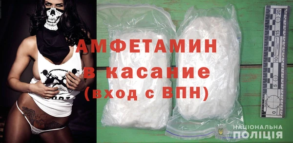 шишки Саяногорск