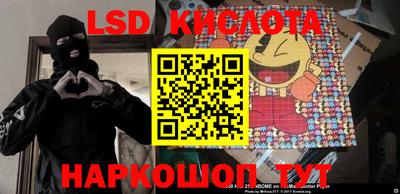 крисы Камышлов