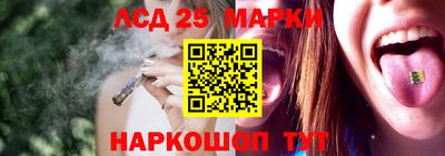 крисы Камышлов