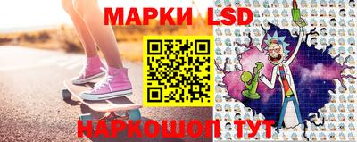 крисы Камышлов