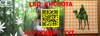 дмт Кандалакша
