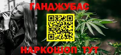 крисы Камышлов