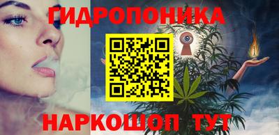 крисы Камышлов