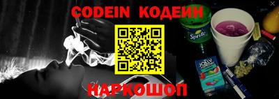 крисы Камышлов