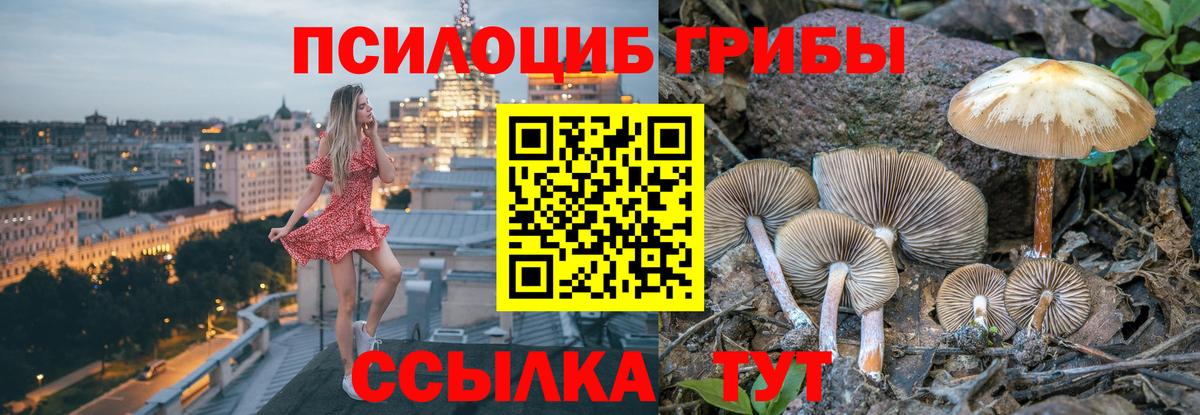 Галлюциногенные грибы MAGIC MUSHROOMS  Североуральск 