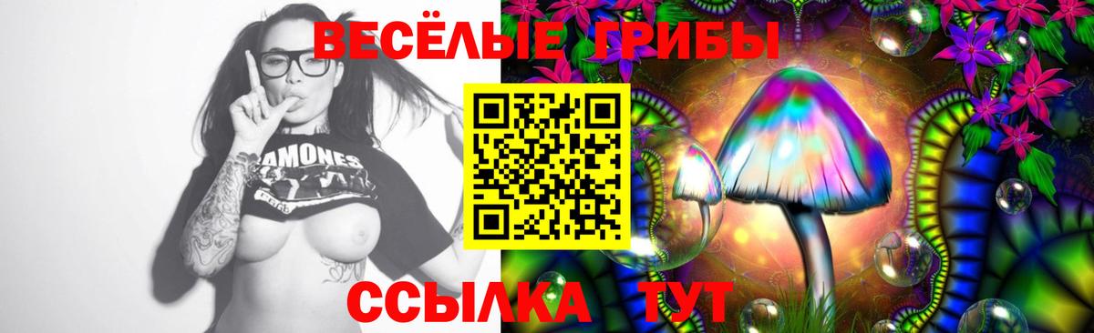 Галлюциногенные грибы GOLDEN TEACHER Североуральск