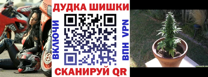 дарк нет состав  дарнет шоп  Североуральск  Канабис планчик 